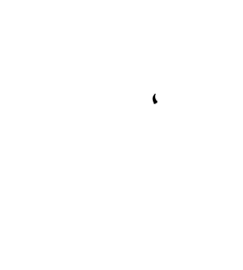 Southern Plex Bull